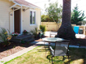 Palm Tree Cottage