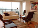 Panorama Pacific View